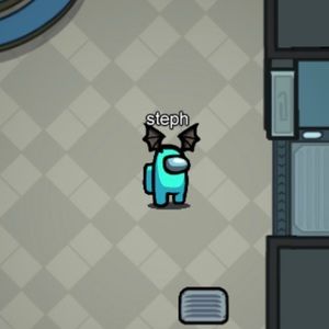 Meet your Posher, Estephanie